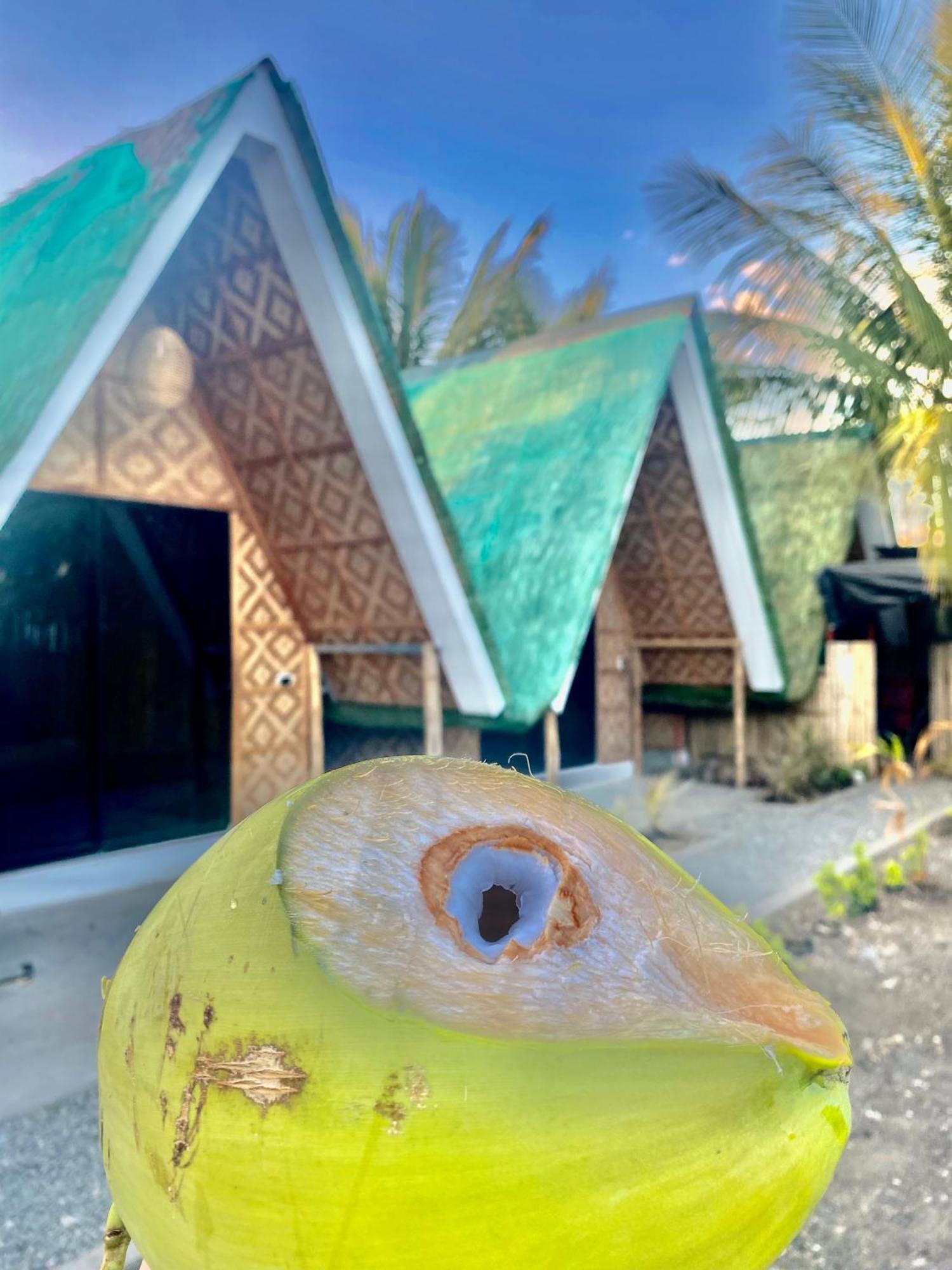 Villa Lovi Panagsama Beach Moalboal Luaran gambar